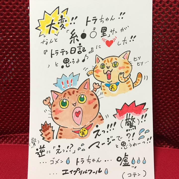 16408127 1335 44e7 8373 014f231beaaf 1554123922996