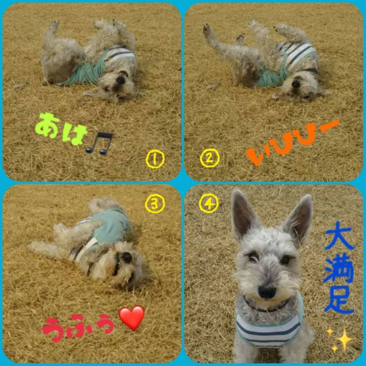 1640a47d a81d 4835 89aa 95be8229ba0f 1551586731360