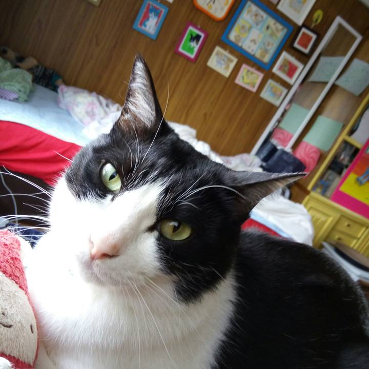 1640a95c b99e 48d7 987f 61bb1ac3b7cd 1526072581009