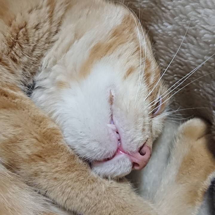 1640b575 5dd0 4d40 96a9 e6a4bc7526ec 1652617931764