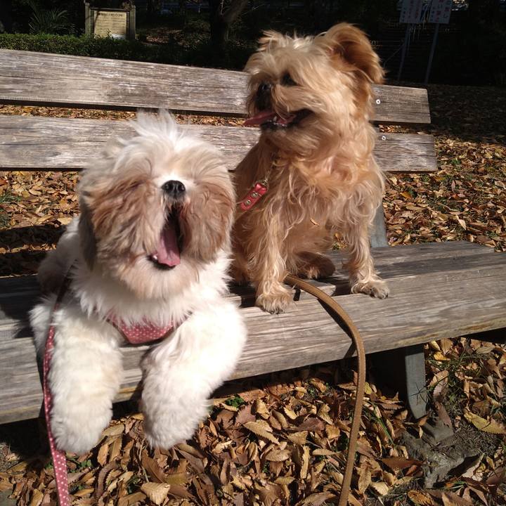 1640d114 c7fd 4acd 89c8 bccb3dbffd38 1605071964693