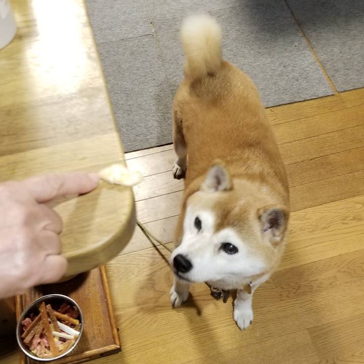 1640d390 cf97 4b47 956d 6db43e94257b 1629795031059