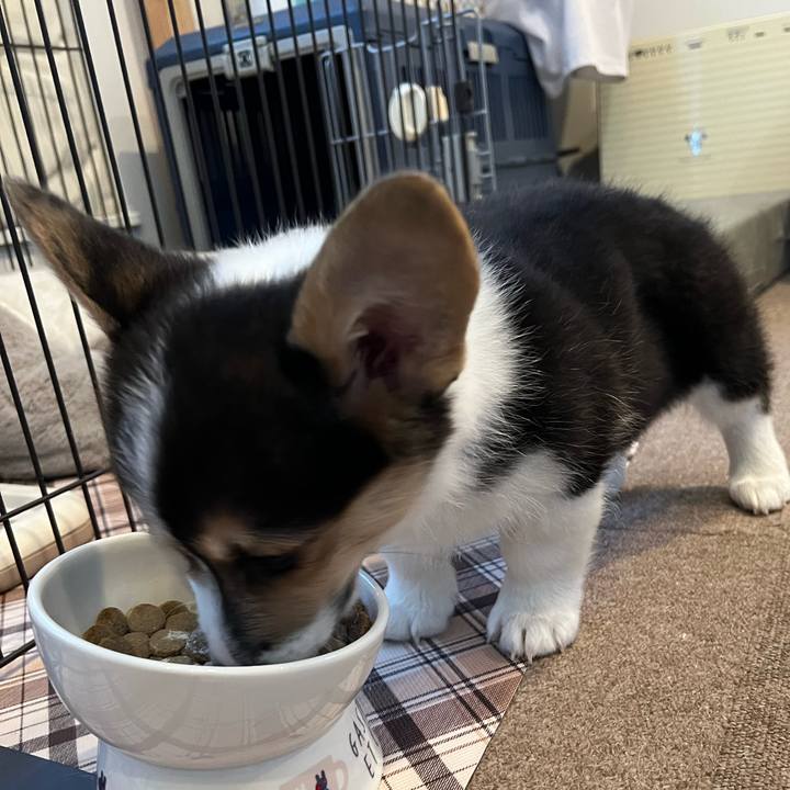 1640d6e3 0b59 48b0 9550 7f5b4efd545a 1769727334382