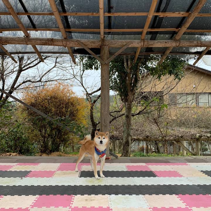 1640f5cf 66ad 4fad 91ea ad00a4c7a251 1577004346536