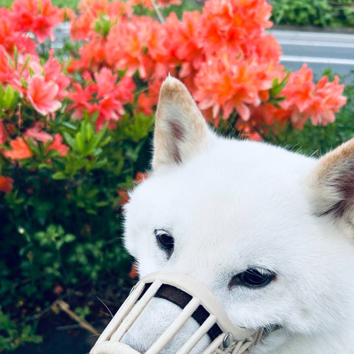 1640fba0 1716 492a bbd3 8e286a7f0814 1685393742387