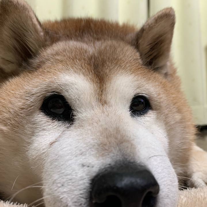 16415ce9 a623 4e18 8d19 e3a0e0bf9787 1618834818161