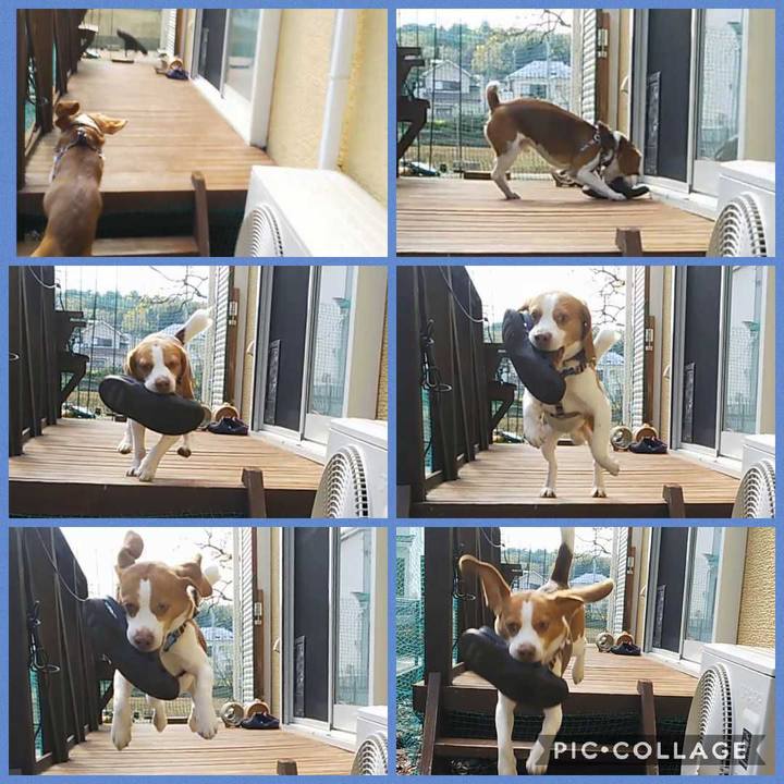 16416069 5935 4b36 b4e8 2cf22edf0878 1586588256283