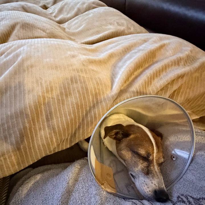 16416d81 b564 4178 9aac cd272b512231 1765750380840