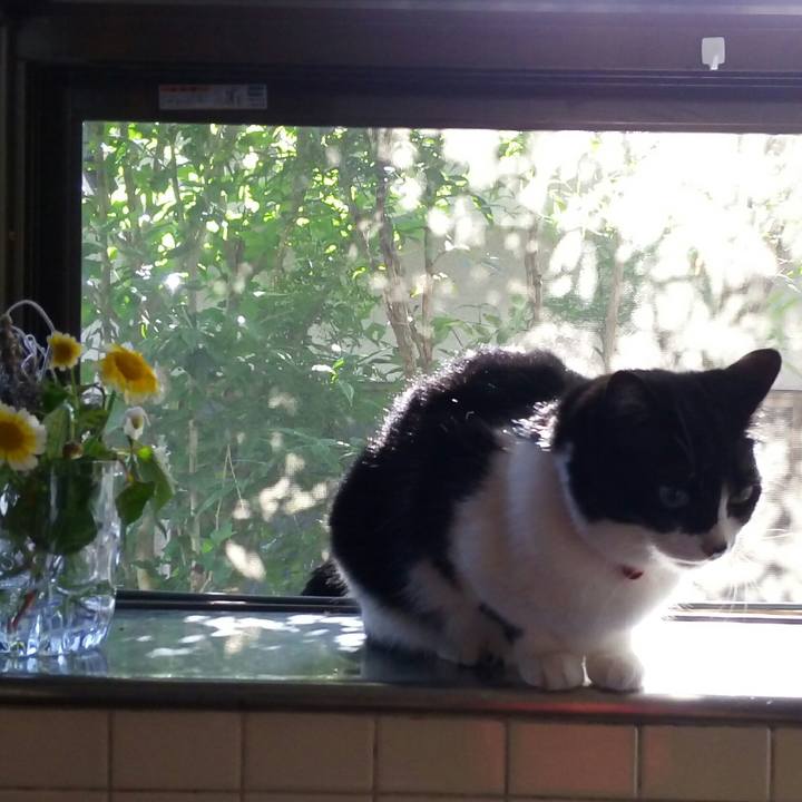 1641b484 99e4 4e17 bb94 e836efe22ec9 1527120777089