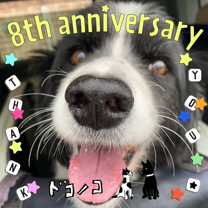 1641e6ea 0927 46d7 819a 865d5a3e4f1d 1717561563813