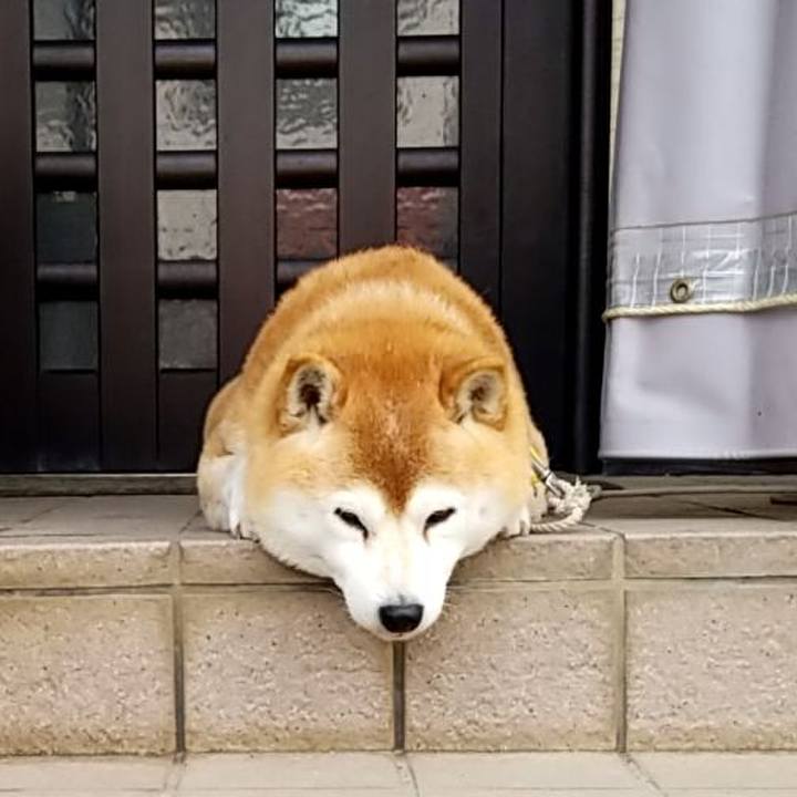 16420a71 9562 45c8 8ca1 a9223ec87df9 1649204107262