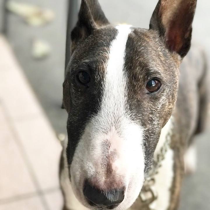 164218c1 7be0 4791 81b8 8c86dc9ea690 1510385707117