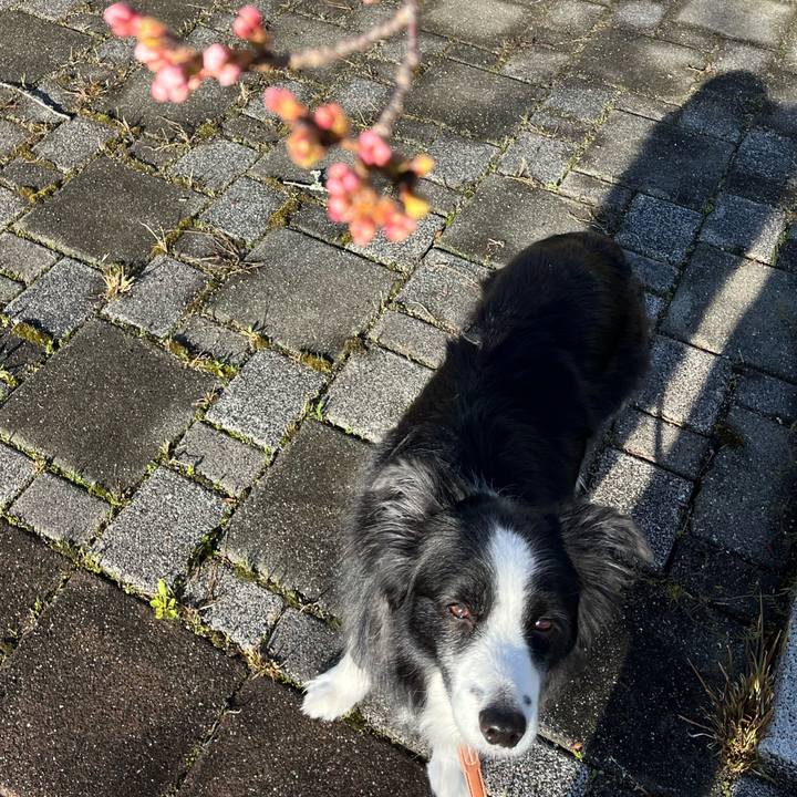 1642322e b157 4227 806f 78cb46d5ed21 1774478538932