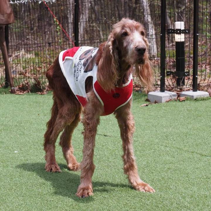 1642803d 11ac 4b1a 9f19 90f46d851c6e 1746395438233