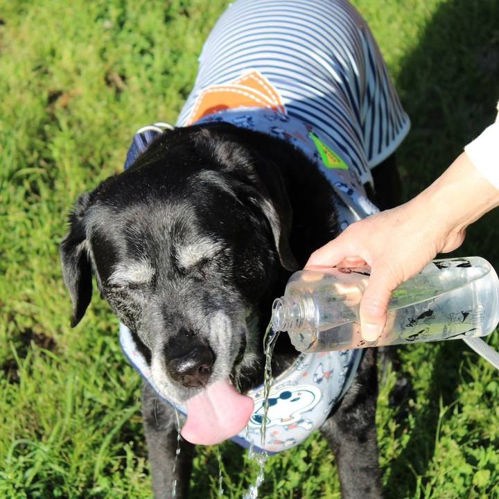 1642c169 17ad 44cf aeee 99b15cb89af5 1715691943529