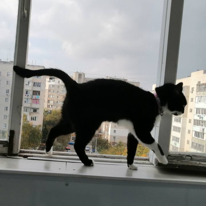 1642d1fb 8345 4760 a179 42602ac30186 1604057388813