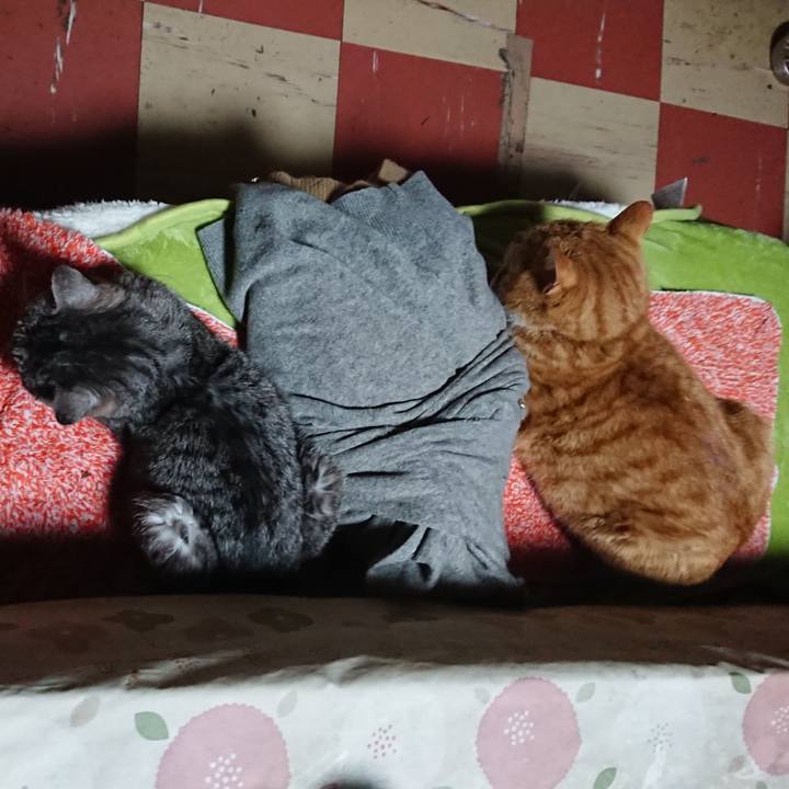 1642d51f 3a6e 48ac 8c30 6a504bac30d0 1579765546522