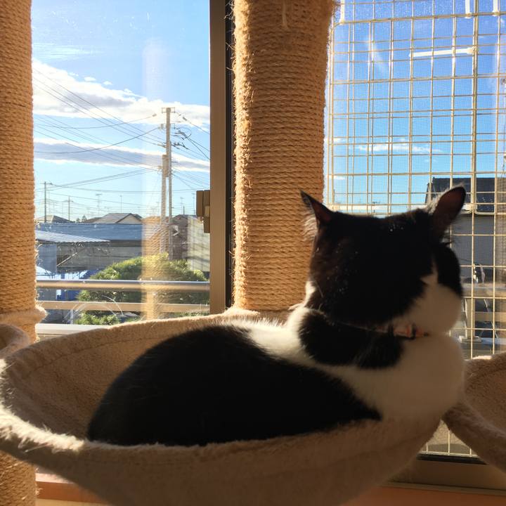 1642da46 ecdb 4c38 a579 af58b1dccd38 1570920365698