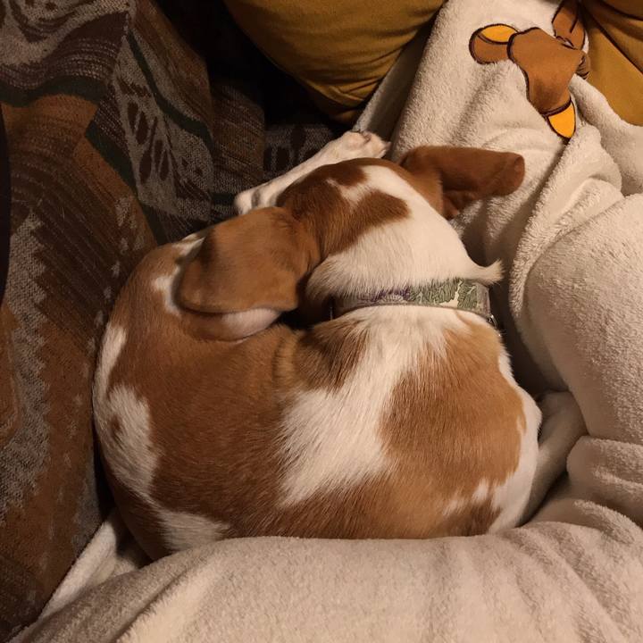 1642e5b8 6d06 429a aa84 9dbcc83995ab 1574670300459