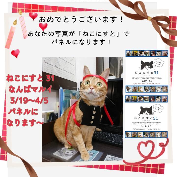 1642e8ec 83fc 4794 85bd 11ca3f2e7289 1614571712059