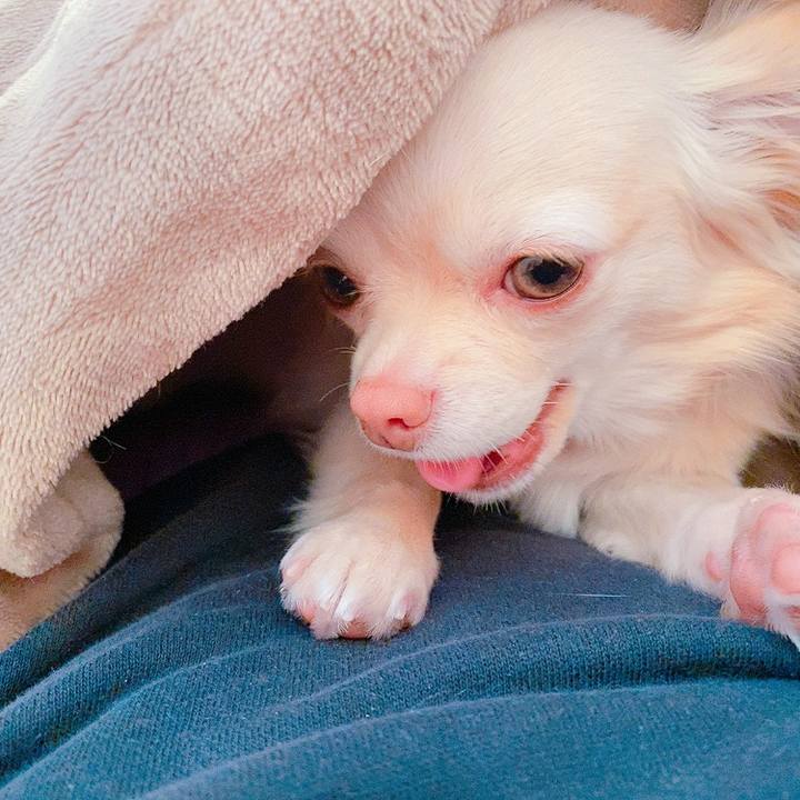 1643476c 79ea 45ba 9394 a30b416d9e6a 1614132455569