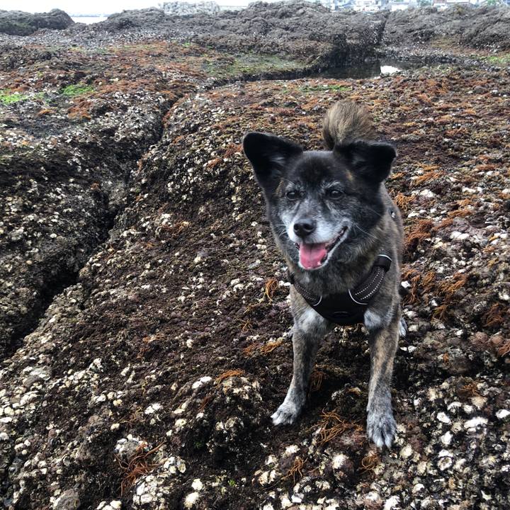 16438a82 b5fb 4152 a673 9bc84d3cd10f 1621287852797