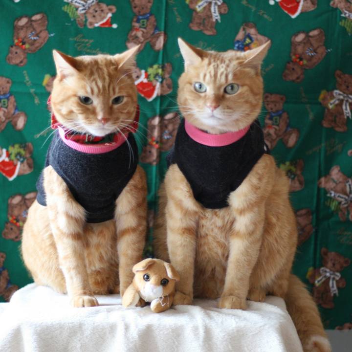 1643a1a5 8e75 4875 bc44 9a6f49c12679 1513561340877