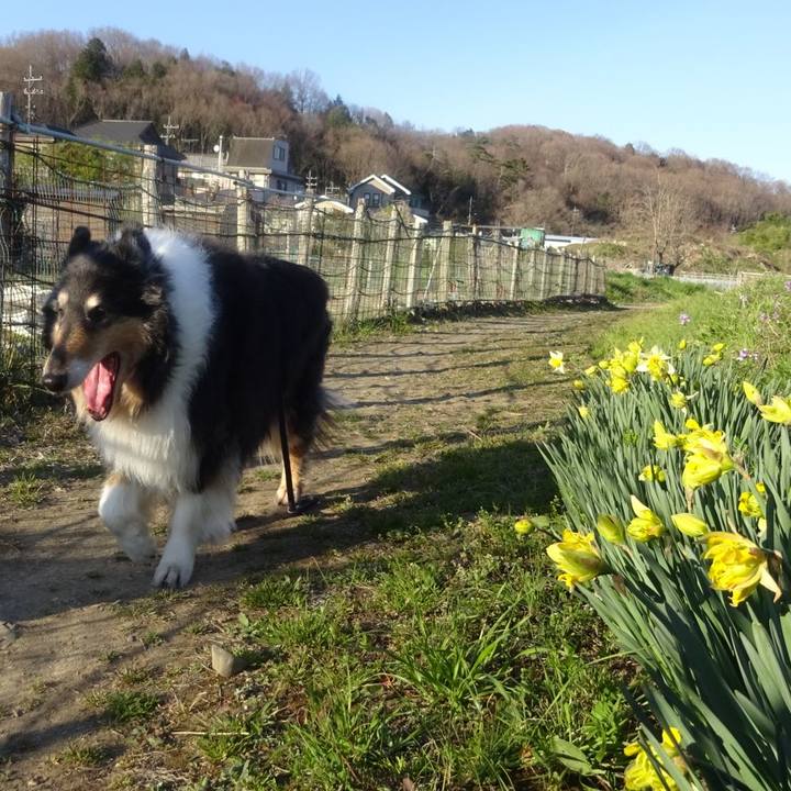 1643bafc a45b 4316 8766 f7ae03708f31 1585139702323