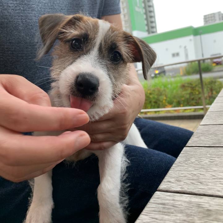 1643c36d 8410 43d9 8d18 29cd596a97c8 1561109838991