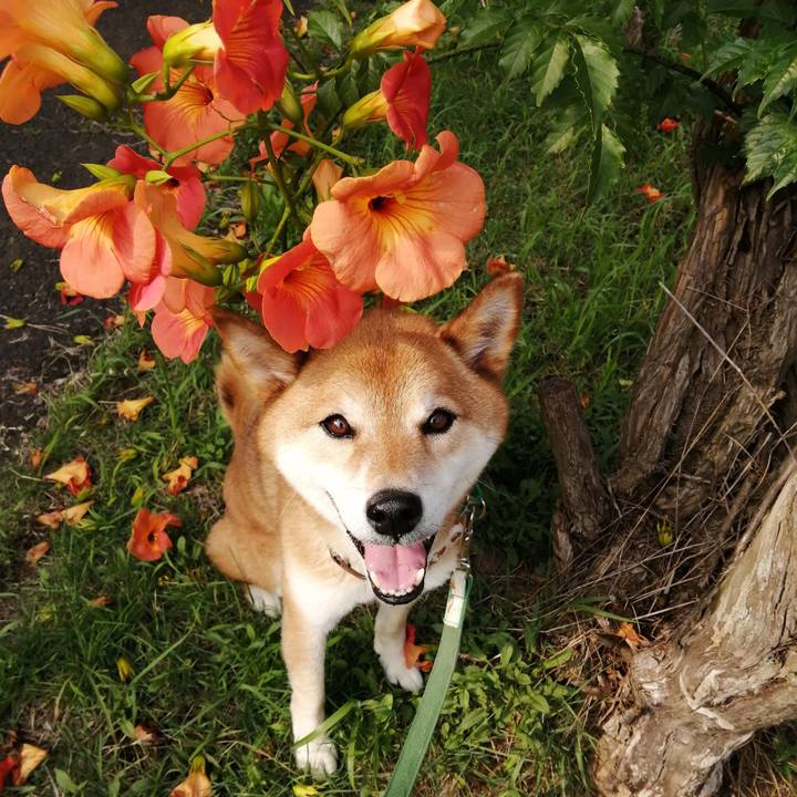 1643e7b9 5c43 4489 a797 460c66e2695a 1624605722694