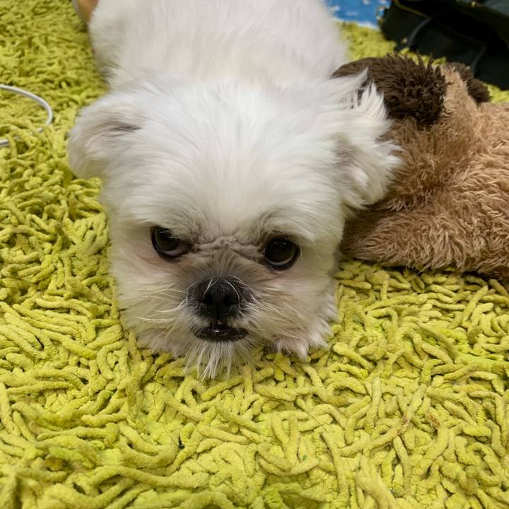 16441005 9716 4c0d ba39 65a989a153d3 1664098085457