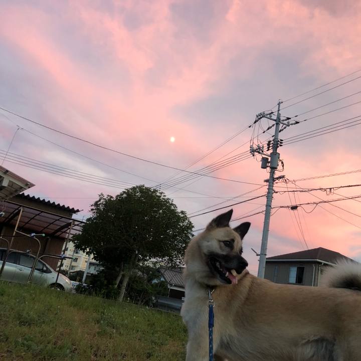 1644853c 9680 40f3 9203 0acf96d23653 1598703202257