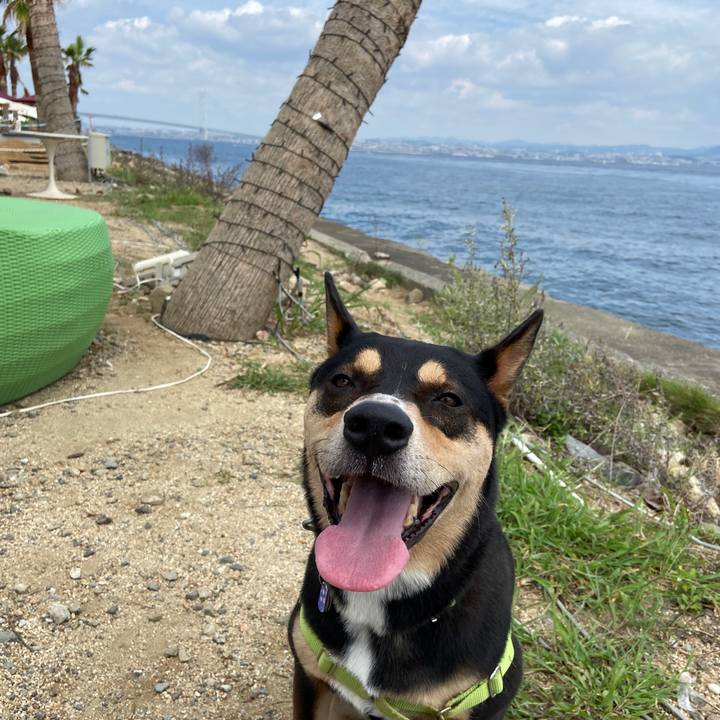 1644b74c f24e 4668 a206 b72c2aad5b02 1630422003940