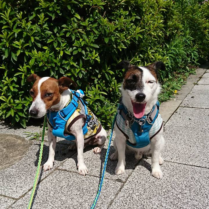 1644be05 7fba 4ed5 bf02 73dbdf55a588 1592354202381