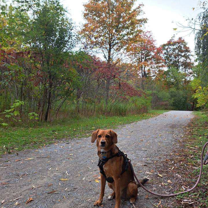 1644c417 190c 4046 84f9 a97f93fa6fd4 1760372383204