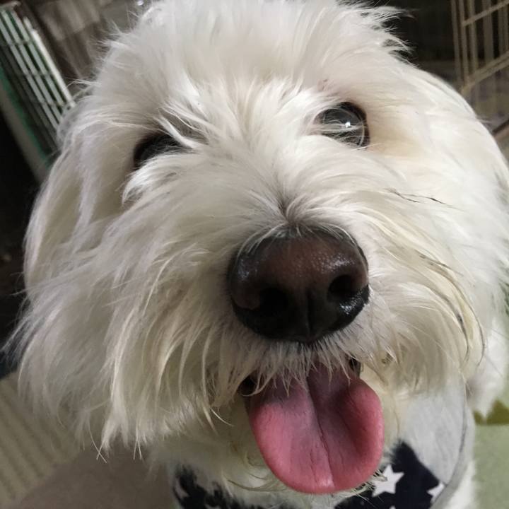 1644cc0d 393a 48ef 865d 244d0222e283 1573838424837