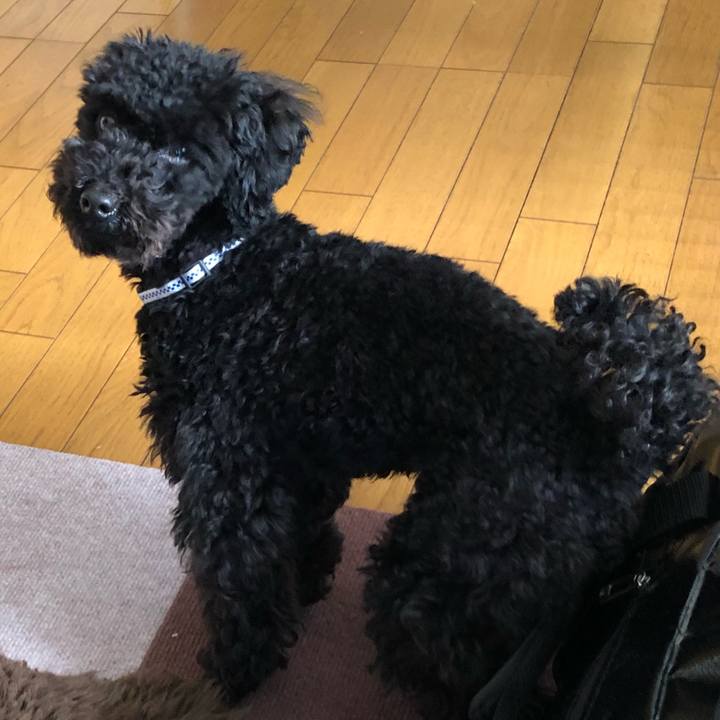 16450241 27c6 468f 86ec 67af68022e35 1519040156093