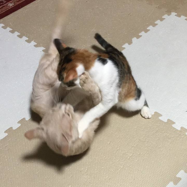 1645183b 846e 4eca ab50 88c66d7b2de4 1642848220005