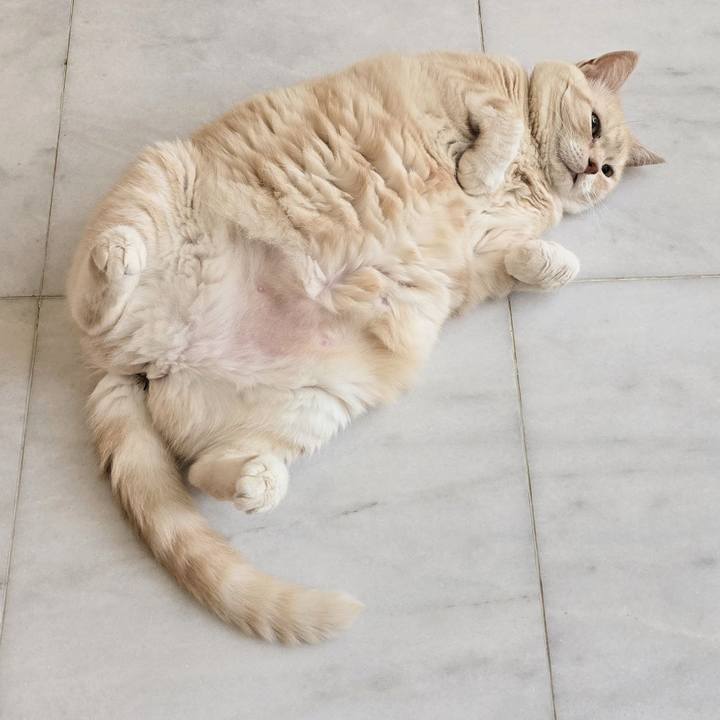 16453eb5 fe9b 4e56 b1d5 0d081d53e516 1752219281542