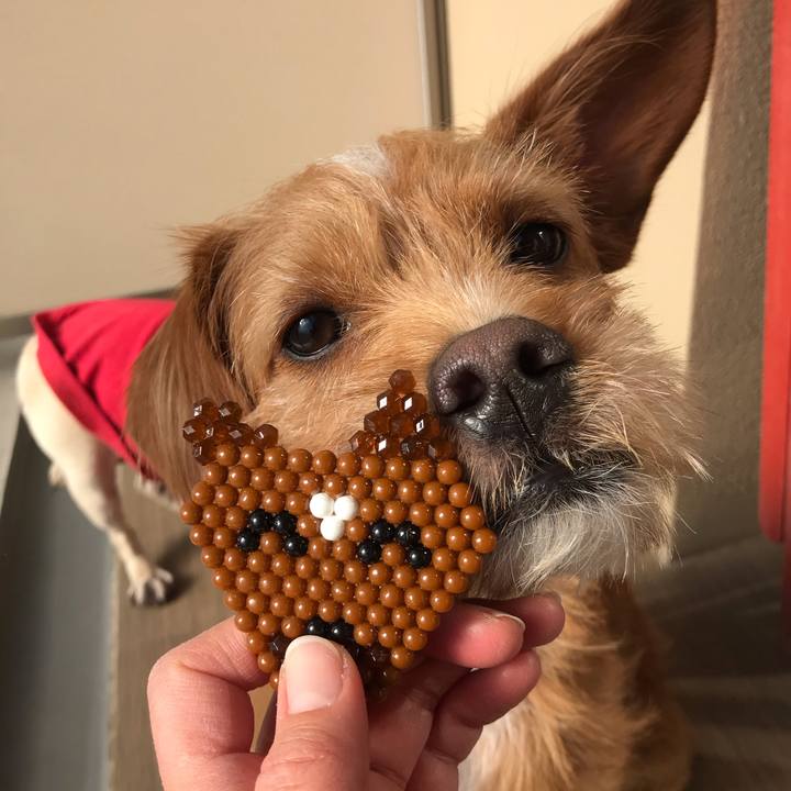 1645544e 3755 49d4 8c8b b4043bdf1b3a 1573219519673