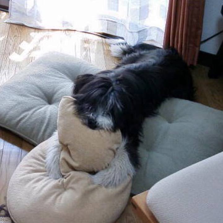 1645713b bc8b 4f93 a7f9 aabdbc840907 1530959195081