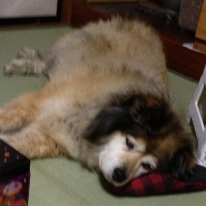 16458359 a693 4eb0 9205 853b10eaf715 1578941599090