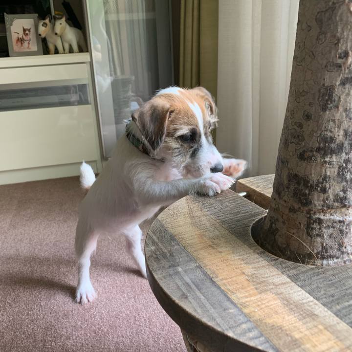 1645a8bd 22e3 4ff1 b062 ad65f47ddfbb 1560325063145