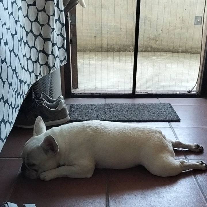 1645b3a9 ae82 48ac a840 9292a42d3949 1683073833692