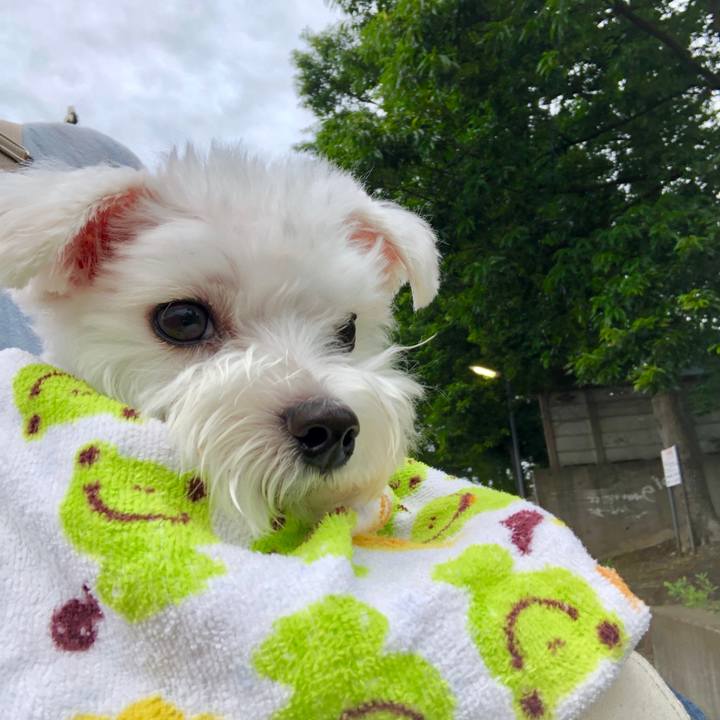 1645b96f 256c 4a5c 9ac4 f5e61e4c83a5 1562283428458