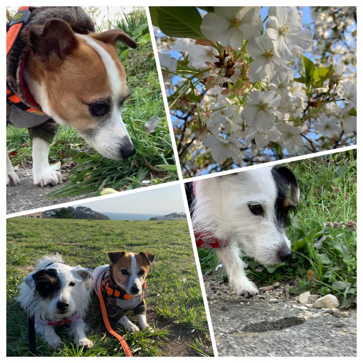 1645c797 7616 43a8 ab4f 9f2524fe8c51 1616573155529