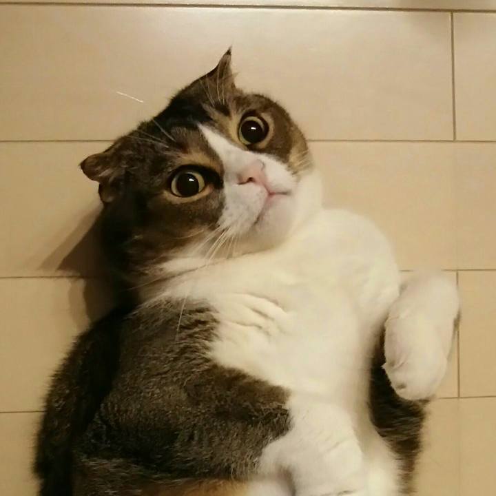 1645d566 df70 4a8a b55f 6e7e87cdf189 1521040875213