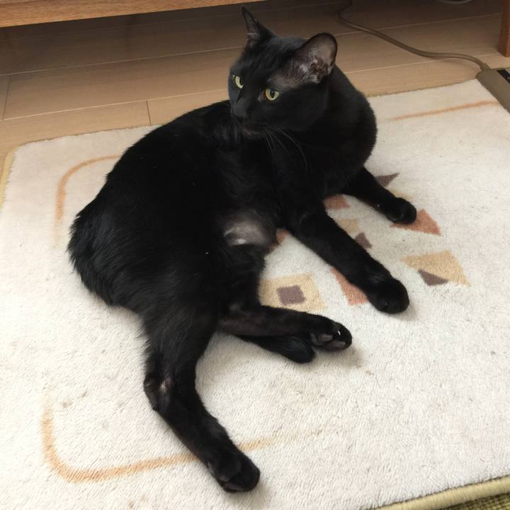 16462fed 8942 40bb 9e8f 7661ceec5e5f 1511663992695