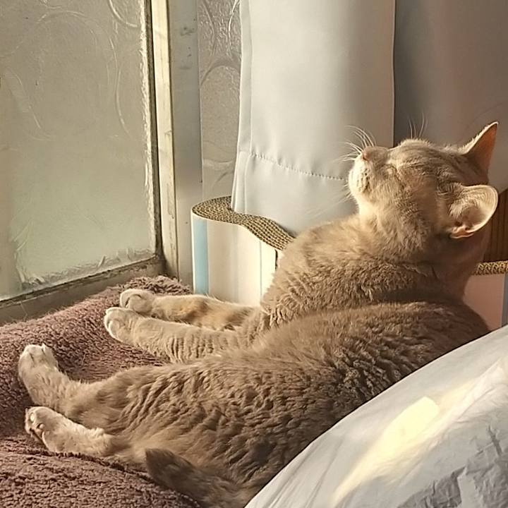 16463913 87ae 47de 992b 163693523f99 1664231995444