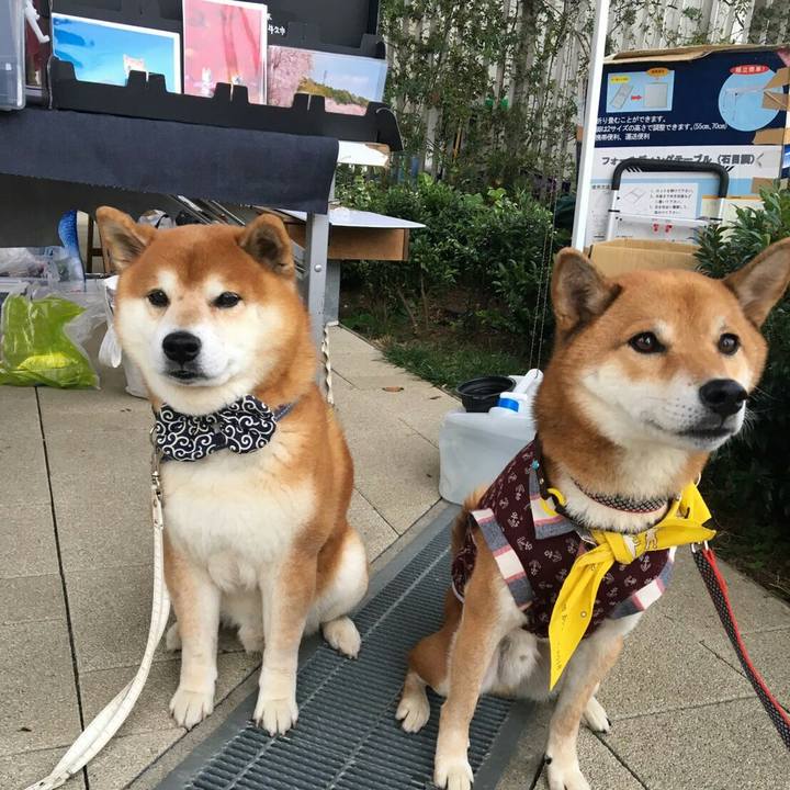 16464b00 8549 4ec9 9844 bb43c514a94b 1572774271698